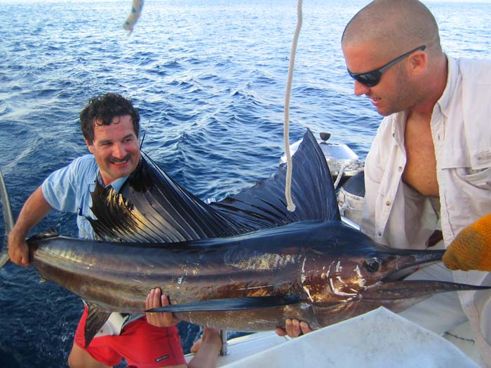 What an amazing creature.