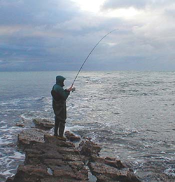 The fish took the plug right on the crest of the race.