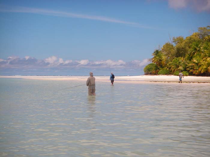 Steve said that there were miles of sandy flats loaded with fish that had never seen a fly.