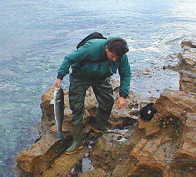 Carefully does it. No need to fall in at this point.