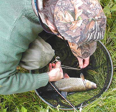 My old artery forceps proved to be just what the doctor ordered.