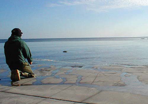 In this shallow calm water you have to keep off the skyline or the fish have gone!!!