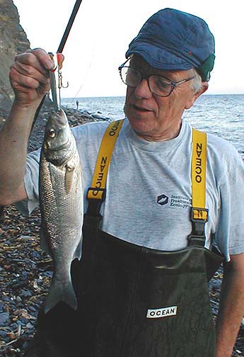 My first ever bass on a popper.