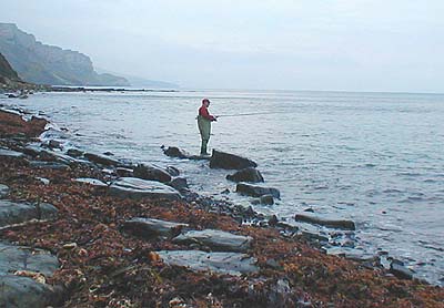 The water is shallow and the bottom is snaggy. The ledge is just out of shot to the right.