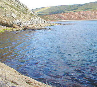 Note the band of kelp close to the ledge and the matchmen bottom fishing from the rocks.