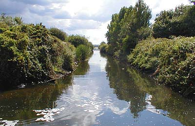 Even sewage effluents can run in attractive surroundings.