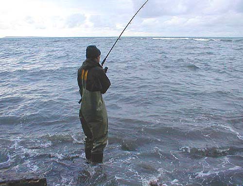Lee Trevett feels the weight of his big fish.