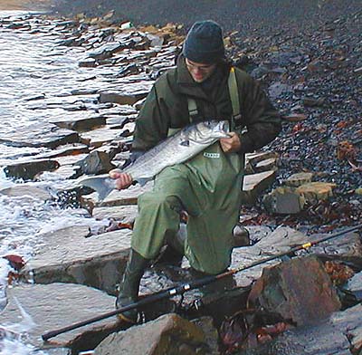 Lee's fish was returned to fight another day if it escapes the trawls and gill nets.