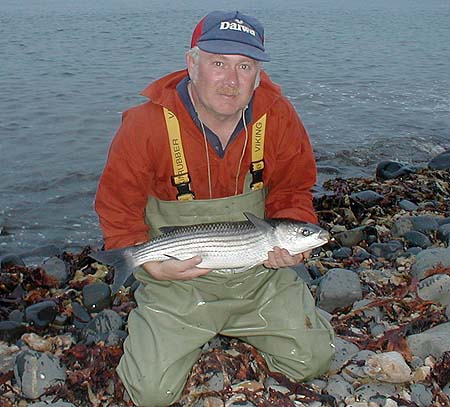 The small hook of the booby fly was well lodged in the jaw of the fish.