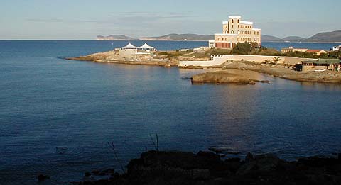 Why were there no bass, bream or barracuda?.