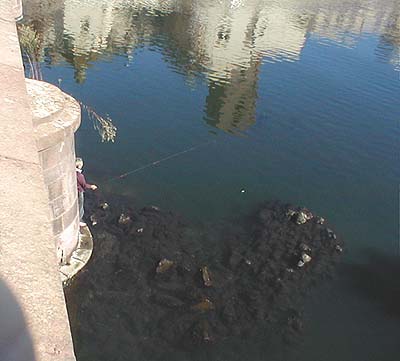 This river was full of mullet but neither this man nor his pal had a sniff while I watched.