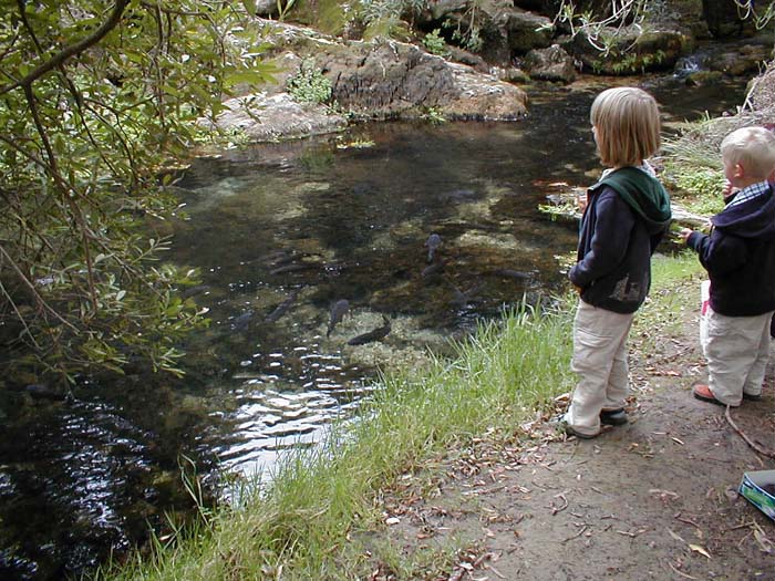 The children were feeding the carp on bread but there was a NO FISHING notice.