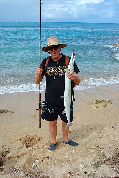 These awkward creatures were by far the commonest catch. They leap and twist just like the giant garfish that they are.