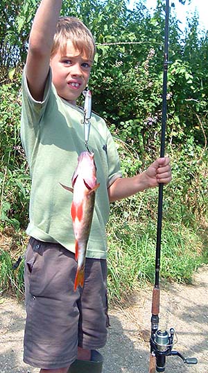 - and with a lure caught perch.