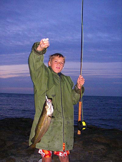 - and a fly caught pollack.