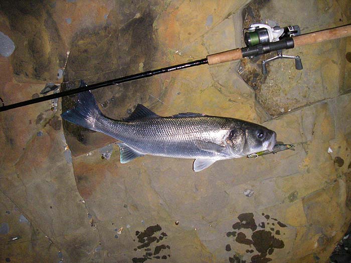 What a way to start the season!