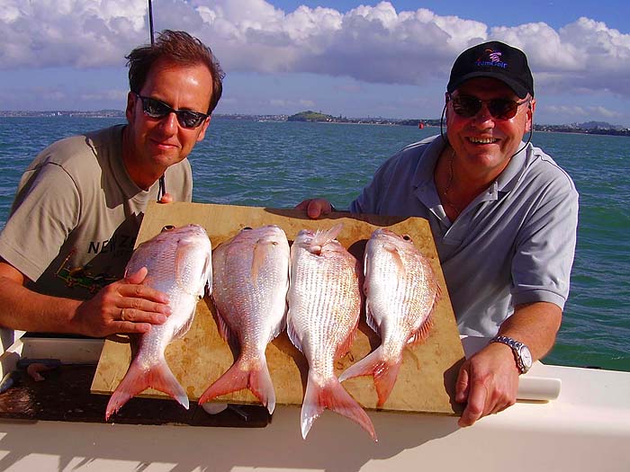 Four cracking snappers of about 3.5lb apiece.