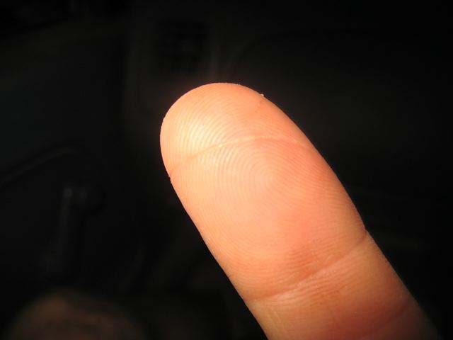 Nick was holding the line when a king mackerel or wahoo (not caught) grabbed hold and ran - fast!