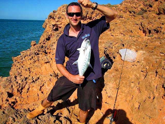 A small giant leatherjacket - similar to a queenfish but with only a single row of spots.