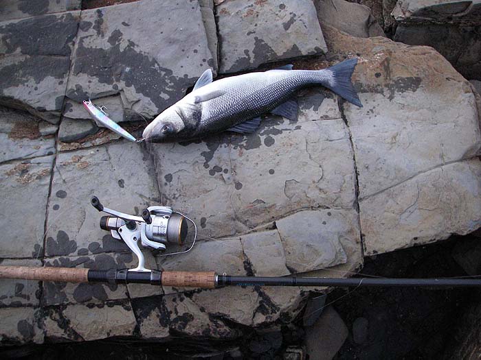 I was really pleased to get this one.