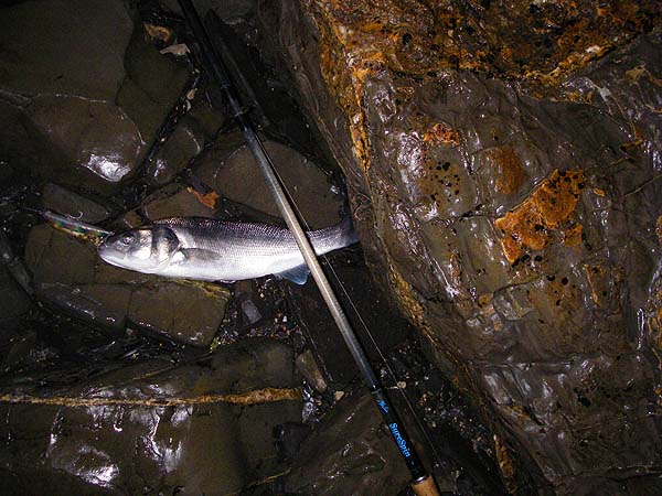 After Ben's report of 'zip' I was well pleased to get this one.