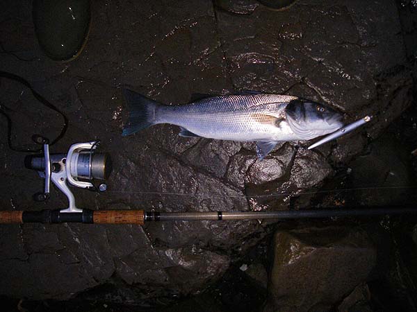 Again nicely hooked on the middle treble.