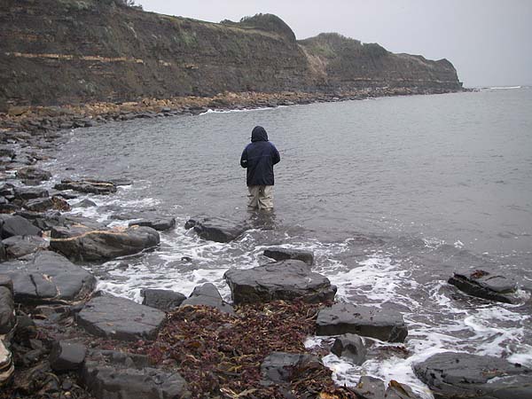 About an hour after we started it was much lighter. This period, as the light changes, can be critical.