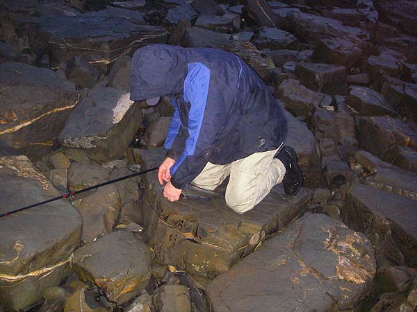 Nigel about to unhook his one and only bass of the session.
