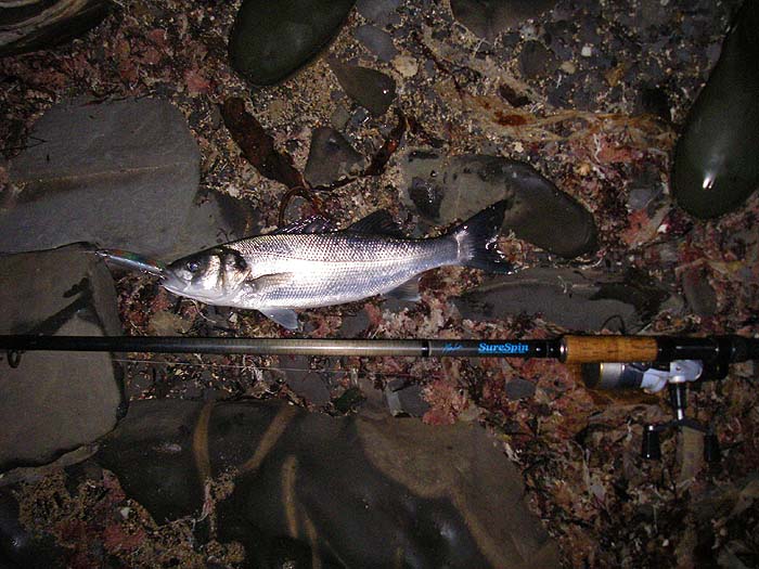 I was pleased to get a bite, let alone a fish.