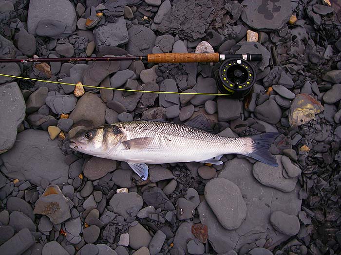 I was pleased to get one even if it was a bit thin.