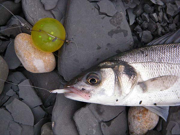 Note my improvised wire harness round the ball.