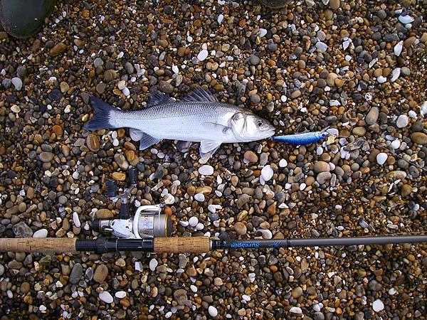 This one impaled itself on my 'back up' plug.