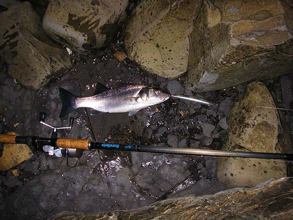 It's always a relief to land the first fish.