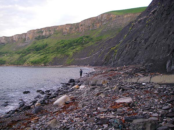 Ben playing his bass.