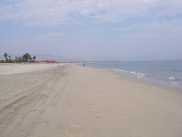 Not too many people. The stretch this side of the pink house was often solid with 15cm mullet.