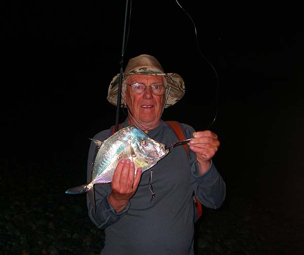 These bizarre fish seem to have a predatory bent despite their weird appearance.