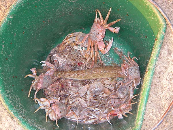 What a clever trick!