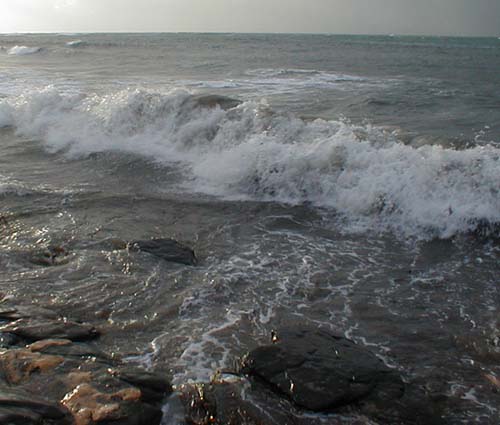 The water's full of bits of weed making it difficult to fish with any sort of lure or fly.