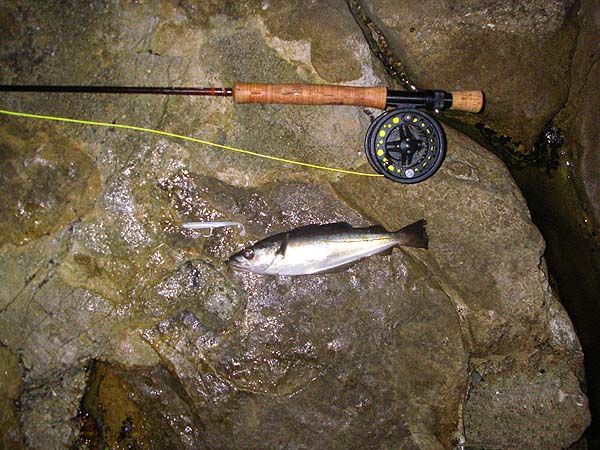 A bit of fun on the fly.