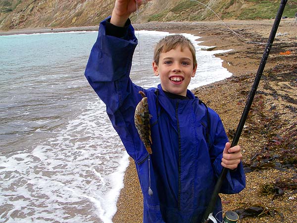 He only caught a few corkwings - this one was very grey looking.