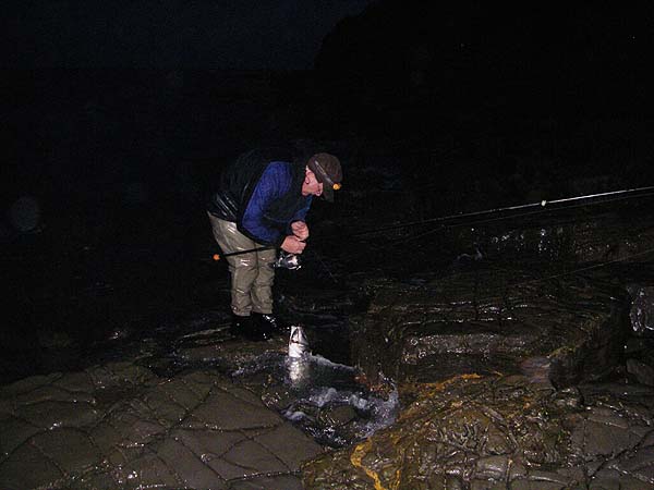 Bass are easily slid ashore between the boulders. The bait's still in its mouth.