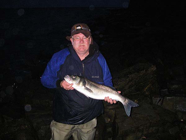 What a beauty. Nigel's best bass up to now.