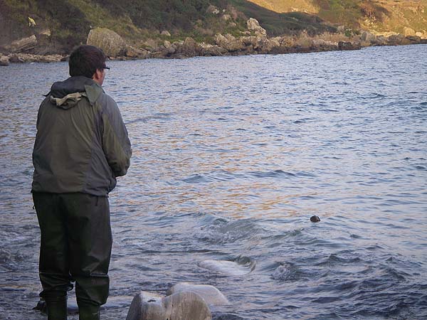 When they're preoccupied with maggots anything else is usually futile. We had a few bass on lures.