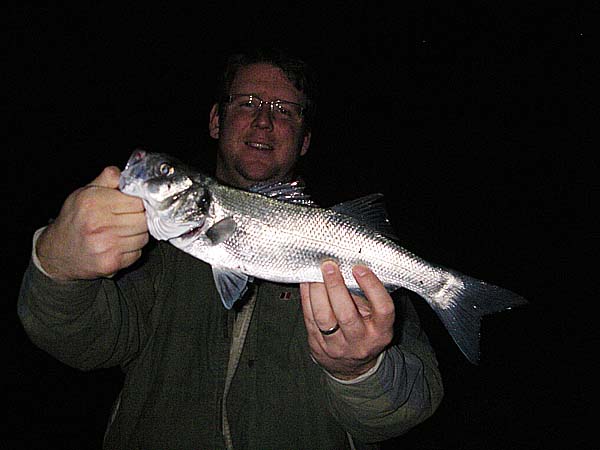 Ben had this one on a plug.