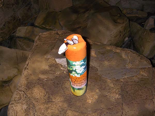 Could this be from Florida or the West Indies or possibly a bit of cruise ship rubbish?