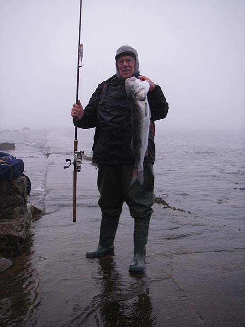 still not too good in the gloom but at least without the flash it's possible to see the fish.