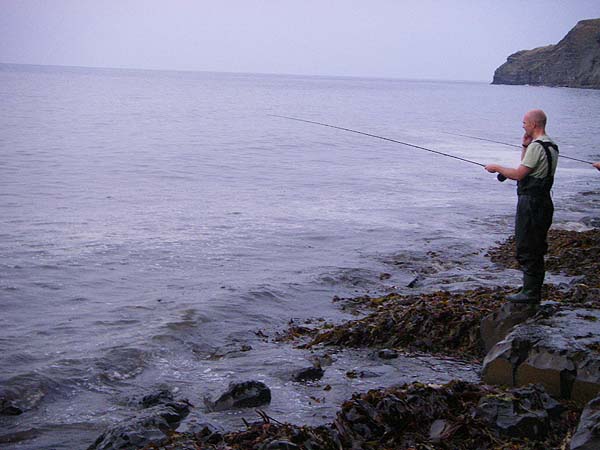 Look at that slick of maggots! The fly has to be a good bet when the fish are surface feeding.