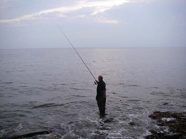 Float fished maggot is a good second string for mullet.