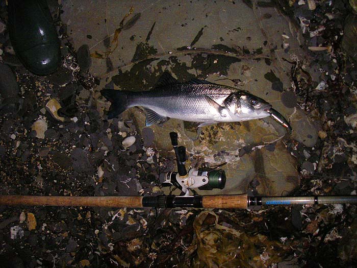 This one was in mint condition.