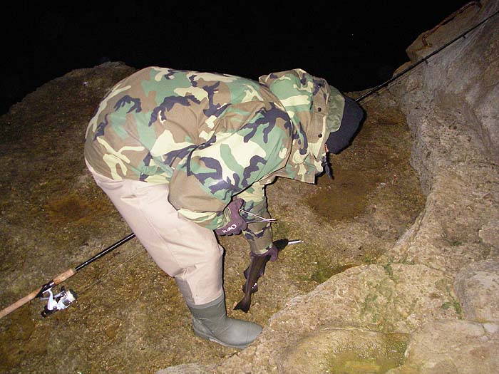 Even with pollack it's worth avoiding the trebles. Note the uptrace red and white feather.